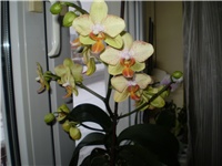 0125f1d3-Picture 3779.jpg